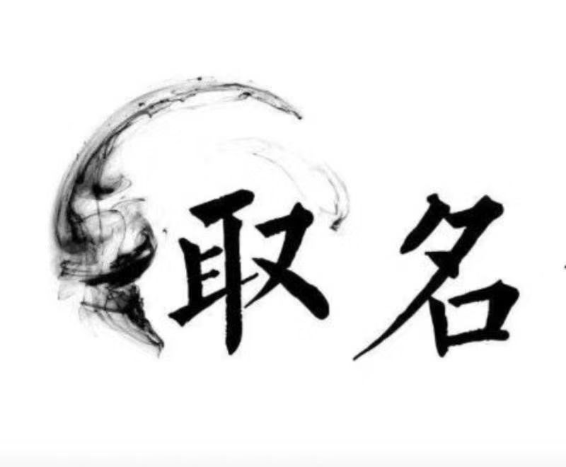  镇宁宝宝取名 大师一对一人工起名