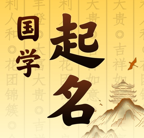 镇宁国学起名 人工起名一对一